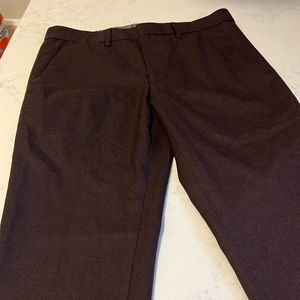 Express dress pants